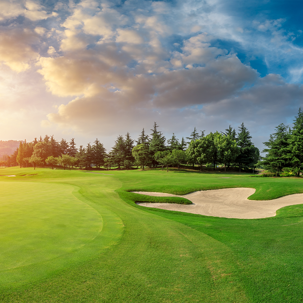 Golf Leaderboards